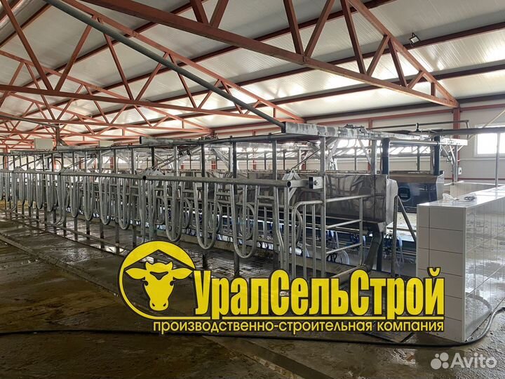 Доильный зал SCR Параллель и Ёлочка