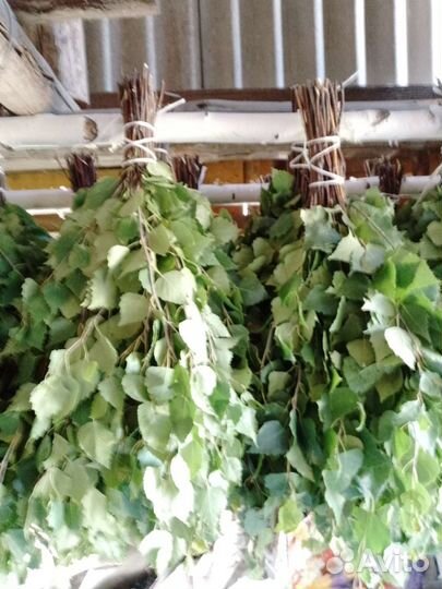 Веники для бани