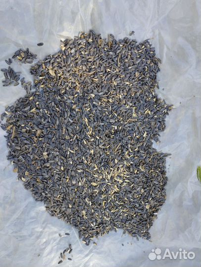 Семечки для птиц и животных