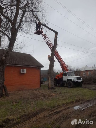 Услуги автовышки