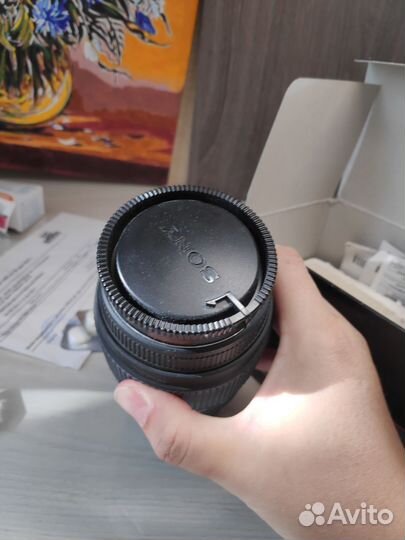 Объектив Sigma 70-300 для Sony альфа