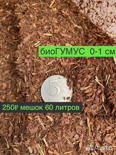 Мульча кора лиственницы