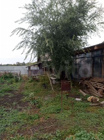 Участок 38 сот. (СНТ, ДНП)