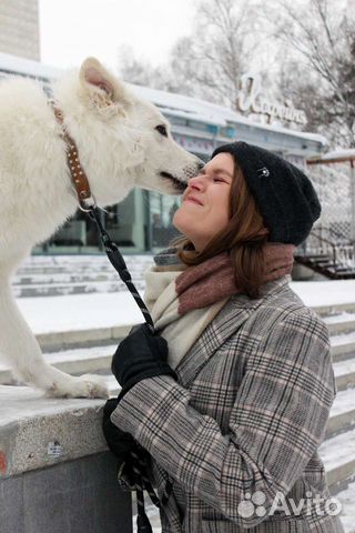 Корректирующая дрессировка собак и кошек