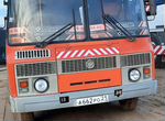 Школьный автобус ПАЗ 32053-110, 2010
