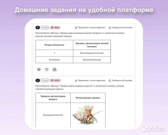Репетитор по биологии