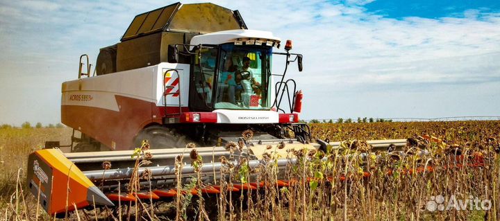 Жатка Orange Seed SFH 9800, 2023