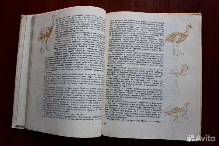 Зачем барану рога, а воробью розовые очки 1991г