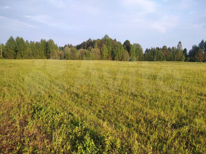 Участок 5,6 га (ИЖС)