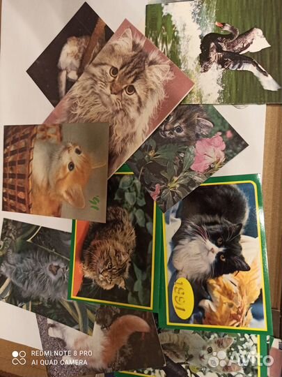 Карманные календари 40 штук кошки собаки