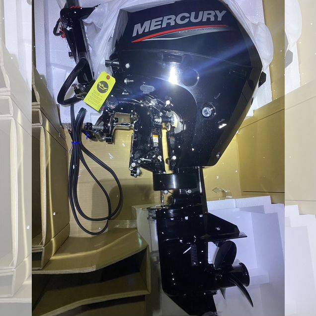 В наличии Mercury F10-20 eh (+эл.стартер и генер)