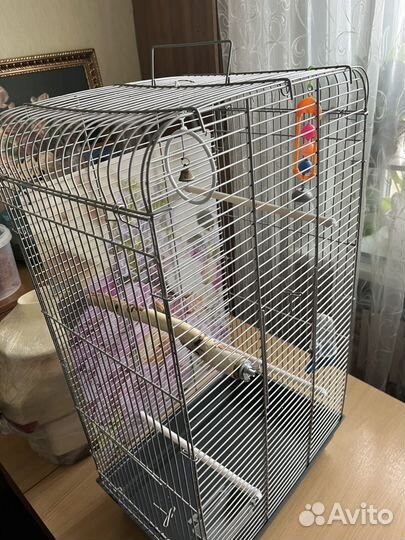 Клетка для попугая