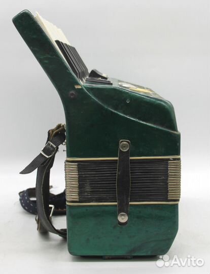 Аккордеон Берёзка 2