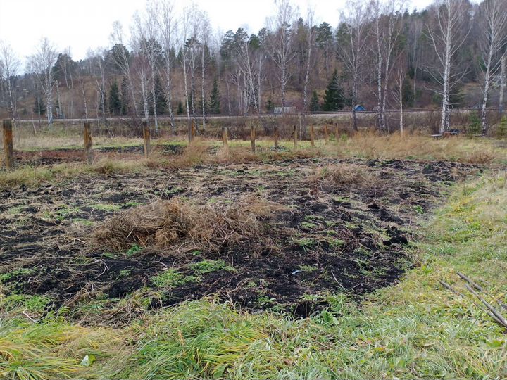 Участок 10 сот. (СНТ, ДНП)