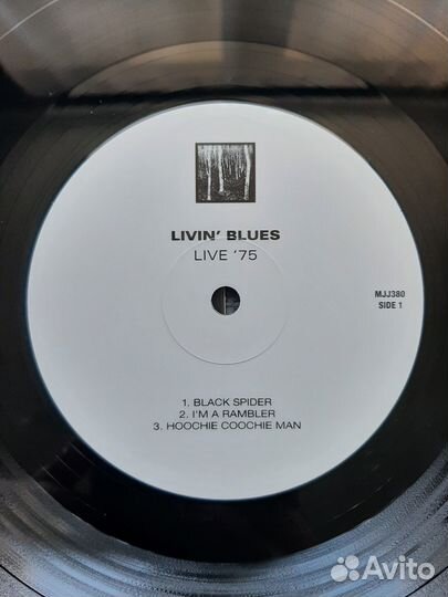 Livin' Blues/ live '75/ 2014 klimt records/ MJJ380