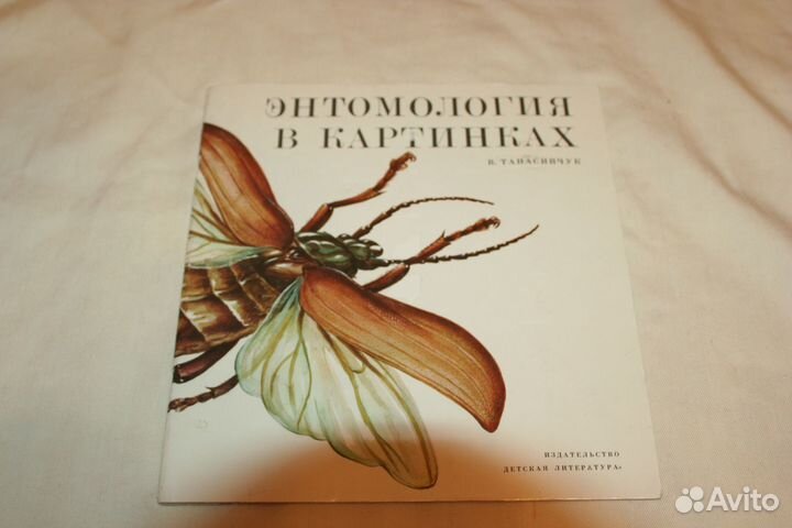 Энтомология в картинках