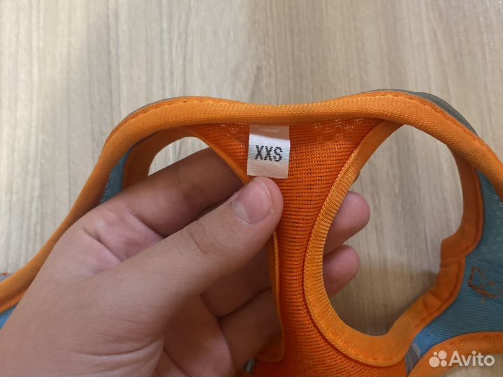 Шлейка для маленькой собаки