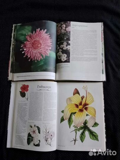 Книги о цветах