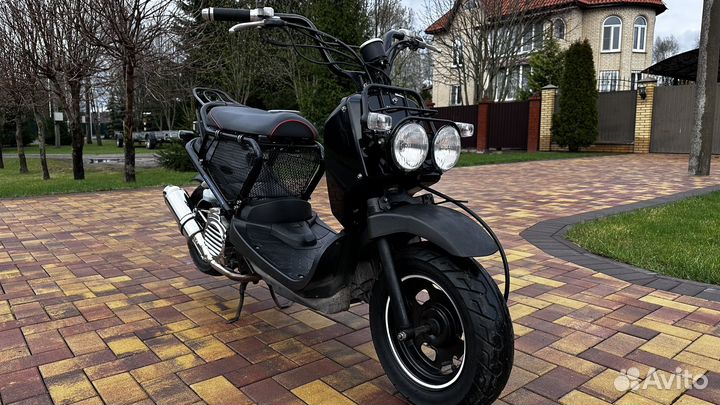 Honda zoomer af58