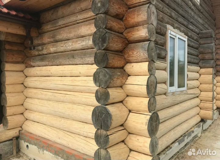 Шлифовка и покраска сруба