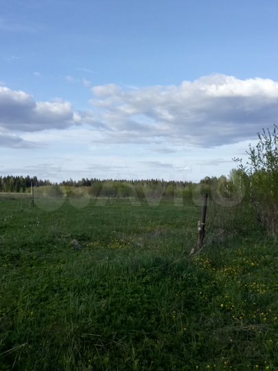 Участок 58 сот. (ИЖС)