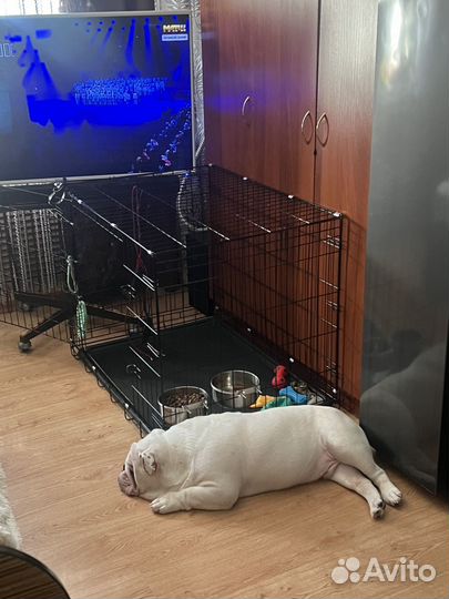 Клетка для собак