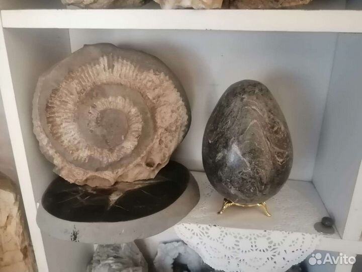 Шары из минералов. Септарии. Жеоды. Окаменелости