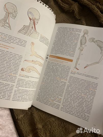 Анатомические поезда книга