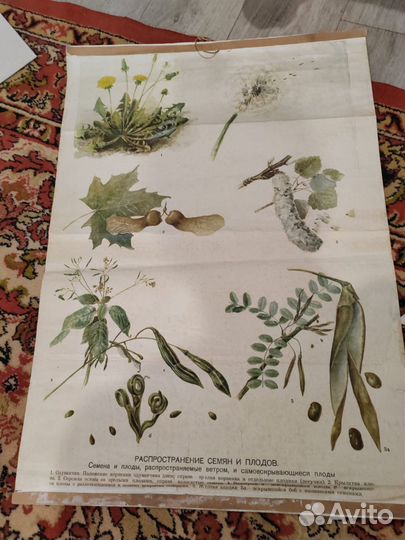 Школьные плакаты СССР