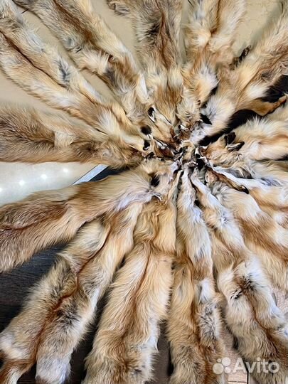Шкуры лисы
