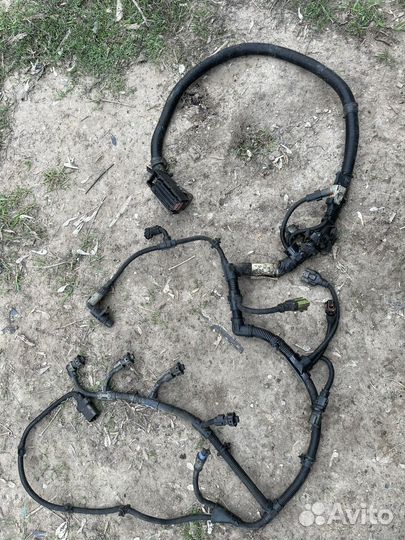 Мозги эбу на газель cummins