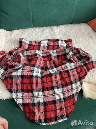 Одежда для собак