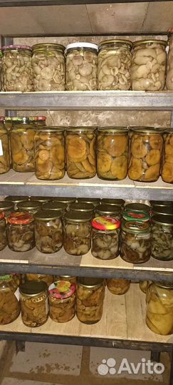 Грибы маринованные