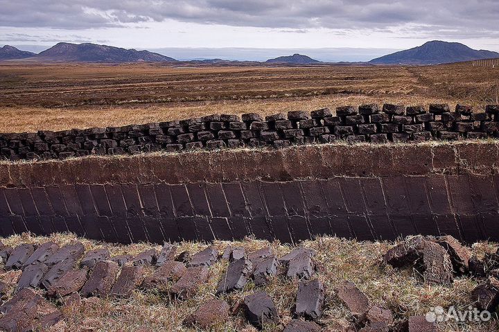 Торф от производителя
