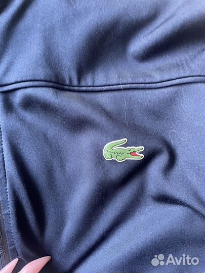 Зипка lacoste