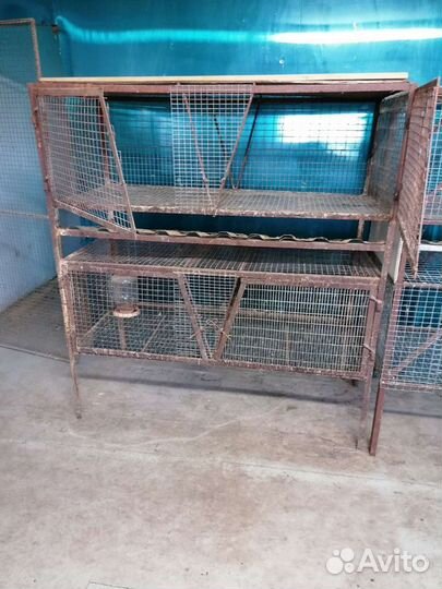 Клетки для кроликов и маточники