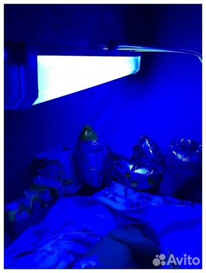 Лампа от желтушки from jaundice