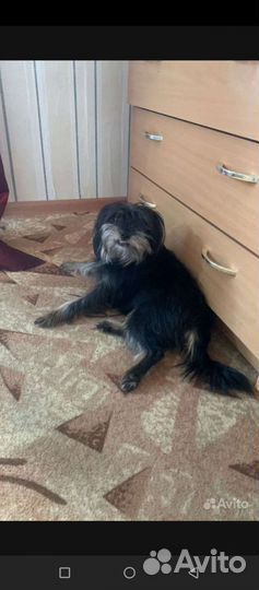 Ищем жениха