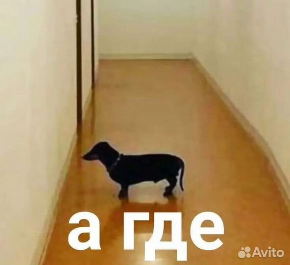 Анекдот