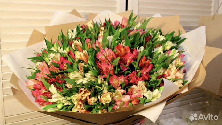 Альстромерии цветы букеты доставка