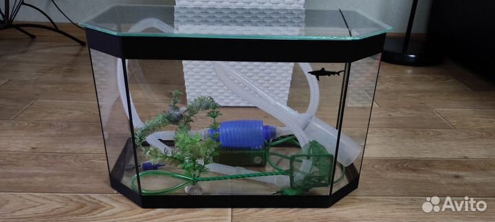 Аквариум