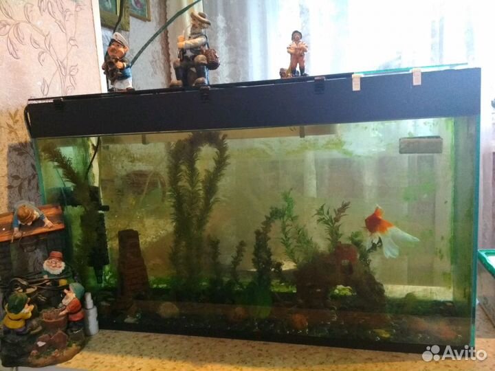 Аквариум на 130 литров