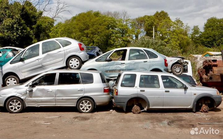 Volkswagen Sharan I рестайлинг 2 Разбор