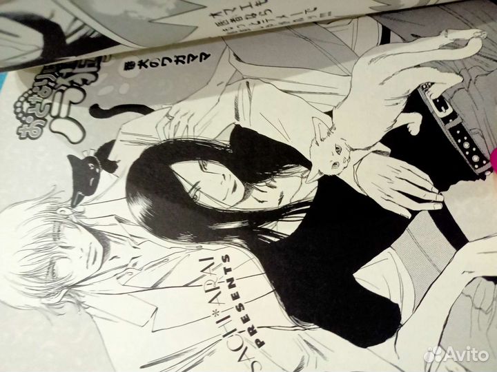 Манга Бездомный котёнок, живущий по соседству