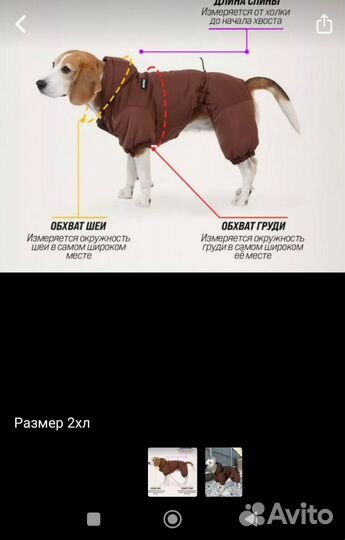 Одежда для крупных собак