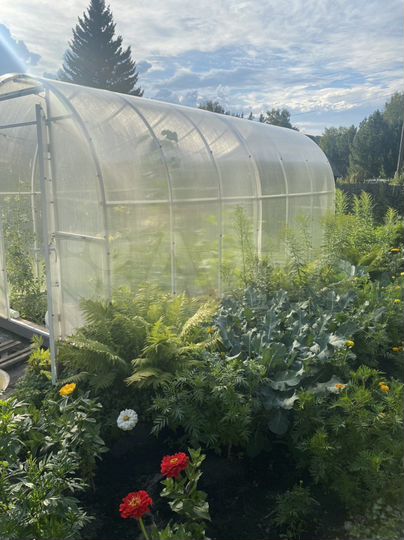 Дача 65 м² на участке 5,7 сот.