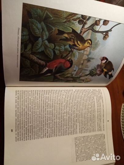 Альфред Брем Жизнь животных