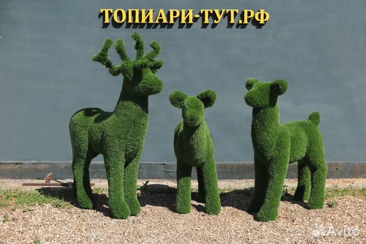 Топиари Топиарные фигуры Садовые фигуры