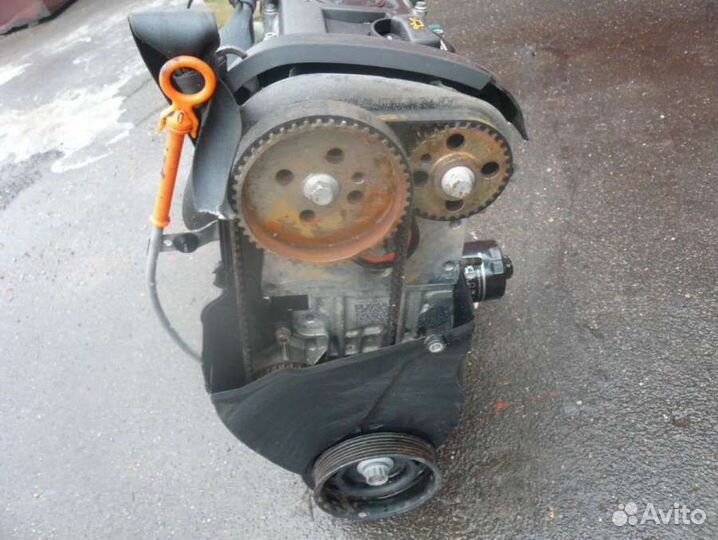 Двигатель Seat Toledo 3 (2004 - 2009) 1.4 BUD