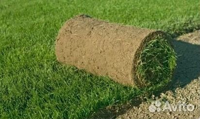 Гидропосев